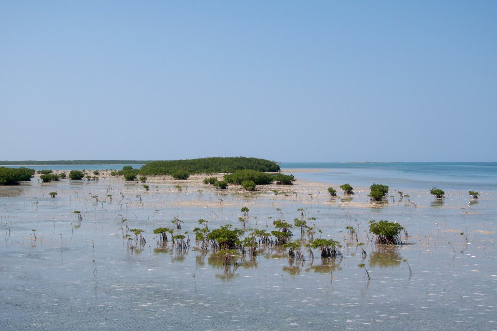 02-On the way to Cayo Santa Maria.jpg - On the way to Cayo Santa Maria